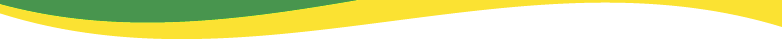 header bottom