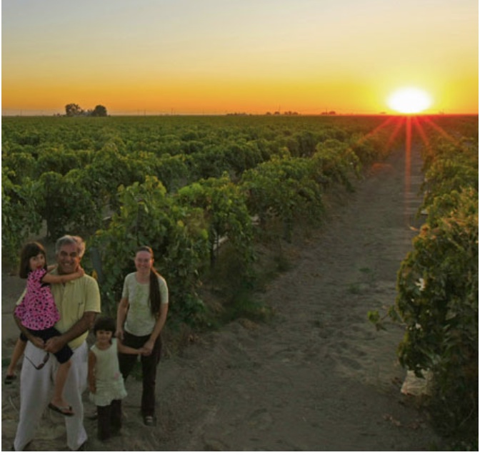 California Gourmet Family in Vineyard